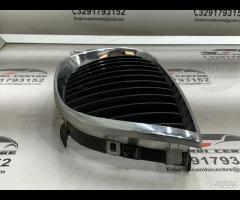 GRIGLIA PARAURTI ANTERIORE GRIGLIA RADIATORE SINIS - 6