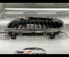 GRIGLIA PARAURTI ANTERIORE GRIGLIA RADIATORE SINIS - 7