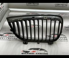 GRIGLIA PARAURTI ANTERIORE GRIGLIA RADIATORE SINIS - 10