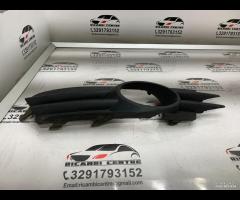 MASCHERINA FENDINEBBIA PARAURTI ANTERIORE SX VW SC - 6