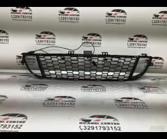 GRIGLIA PARAURTI ANTERIORE GRIGLIA RADIATORE BMW F