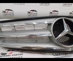 GRIGLIA PARAURTI ANTERIORE GRIGLIA RADIATORE MERCE