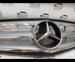 GRIGLIA PARAURTI ANTERIORE GRIGLIA RADIATORE MERCE