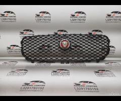 GRIGLIA PARAURTI ANTERIORE GRIGLIA RADIATORE JAGUA