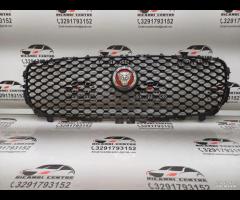 GRIGLIA PARAURTI ANTERIORE GRIGLIA RADIATORE JAGUA