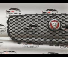 GRIGLIA PARAURTI ANTERIORE GRIGLIA RADIATORE JAGUA