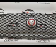 GRIGLIA PARAURTI ANTERIORE GRIGLIA RADIATORE JAGUA