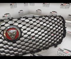 GRIGLIA PARAURTI ANTERIORE GRIGLIA RADIATORE JAGUA - 7