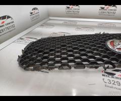 GRIGLIA PARAURTI ANTERIORE GRIGLIA RADIATORE JAGUA - 16