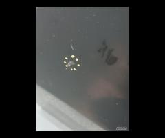 PORTA PORTIERA POSTERIORE SINISTRA KIA RIO 2013 BE - 8