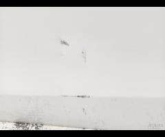 PORTA PORTIERA POSTERIORE SX MERCEDES C250 W205 20 - 12