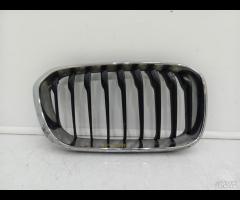 GRIGLIA PARAURTI ANTERIORE  SX GRIGLIA RADIATORE B