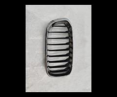 GRIGLIA PARAURTI ANTERIORE  SX GRIGLIA RADIATORE B