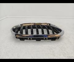 GRIGLIA PARAURTI ANTERIORE  SX GRIGLIA RADIATORE B - 7