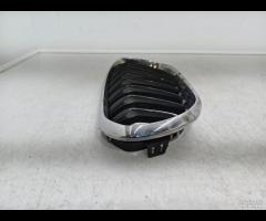GRIGLIA PARAURTI ANTERIORE  SX GRIGLIA RADIATORE B - 8