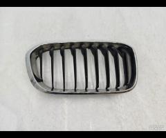 GRIGLIA PARAURTI ANTERIORE  SX GRIGLIA RADIATORE B - 9