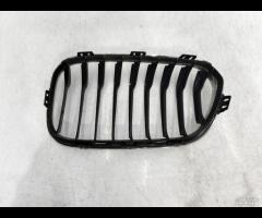 GRIGLIA PARAURTI ANTERIORE  SX GRIGLIA RADIATORE B - 10
