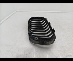 GRIGLIA PARAURTI ANTERIORE  SX GRIGLIA RADIATORE B - 12