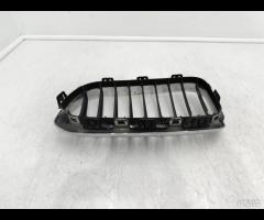 GRIGLIA PARAURTI ANTERIORE  SX GRIGLIA RADIATORE B - 13