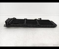 GRIGLIA PARAURTI ANTERIORE GRIGLIA RADIATORE RENAU - 19