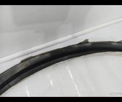 MODANATURA PARAFANGO ANTERIORE SX BMW X5 E70 LCI 2 - 21