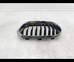 GRIGLIA RADIATORE PARAURTI ANTERIORE SX BMW F20 F2 - 6