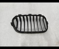 GRIGLIA RADIATORE PARAURTI ANTERIORE SX BMW F20 F2 - 8
