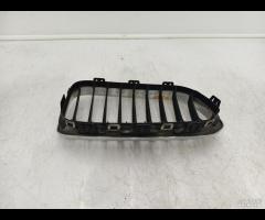 GRIGLIA RADIATORE PARAURTI ANTERIORE SX BMW F20 F2 - 13
