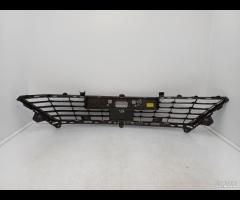 GRIGLIA PARAURTI ANTERIORE INFERIORE RENAULT CLIO - 13