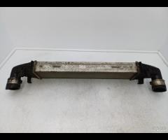 RADIATORE INTERCOOLER 2.1D 100kW 136CV MERCEDES W2 - 6