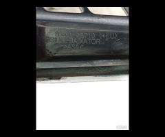 GRIGLIA PARAURTI ANTERIORE RADIATORE HYUNDAI SANTA - 23