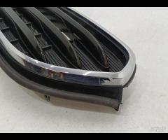 GRIGLIA PARAURTI ANT GRIGLIA RADIATORE MINI COUNTR - 14