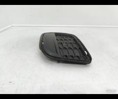 MASCHERINA FENDINEBBIA PARAURTI ANTERIORE DX BMW X - 10