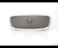 GRIGLIA PARAURTI ANTERIORE GRIGLIA RADIATORE JAGUA