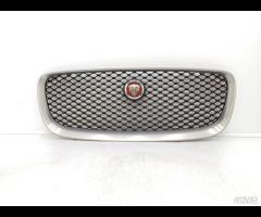 GRIGLIA PARAURTI ANTERIORE GRIGLIA RADIATORE JAGUA