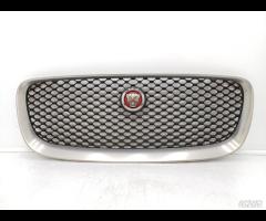 GRIGLIA PARAURTI ANTERIORE GRIGLIA RADIATORE JAGUA
