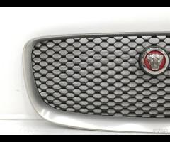 GRIGLIA PARAURTI ANTERIORE GRIGLIA RADIATORE JAGUA