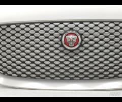 GRIGLIA PARAURTI ANTERIORE GRIGLIA RADIATORE JAGUA