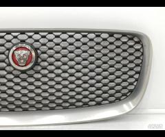 GRIGLIA PARAURTI ANTERIORE GRIGLIA RADIATORE JAGUA - 6