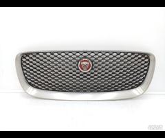 GRIGLIA PARAURTI ANTERIORE GRIGLIA RADIATORE JAGUA - 7