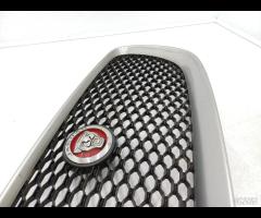 GRIGLIA PARAURTI ANTERIORE GRIGLIA RADIATORE JAGUA - 9