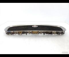 GRIGLIA PARAURTI ANTERIORE GRIGLIA RADIATORE JAGUA - 10