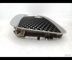 GRIGLIA PARAURTI ANTERIORE GRIGLIA RADIATORE JAGUA - 11