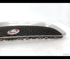 GRIGLIA PARAURTI ANTERIORE GRIGLIA RADIATORE JAGUA - 14