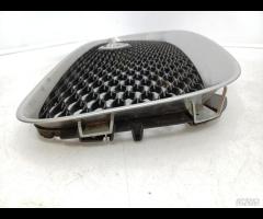 GRIGLIA PARAURTI ANTERIORE GRIGLIA RADIATORE JAGUA - 15