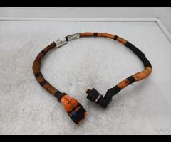 CAVO BATTERIA ALTA TENSIONE RENAULT CLIO V B7 2025