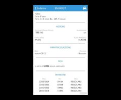 Ford Fiesta 1.4 16V 5p.Bz.- GPL Business UNICO PRO - 29