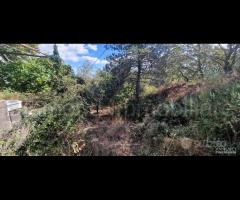 Casetta di campagna con terreno a Linguaglossa