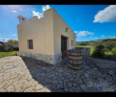 MARTINA FRANCA- Trulli con lamia e deposito - 22