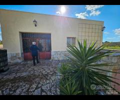 MARTINA FRANCA- Trulli con lamia e deposito - 23